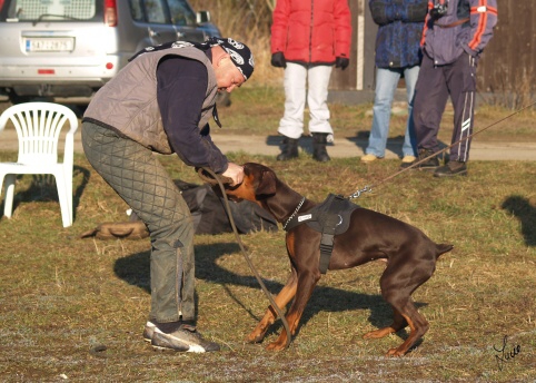 The christmas training 27.12.2006